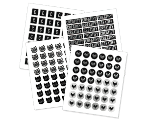 Vinil mate y transparente